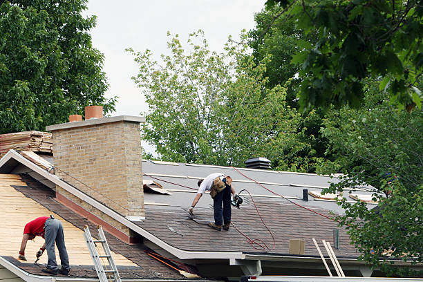 Best Roof Gutter Cleaning  in Johns Creek, GA